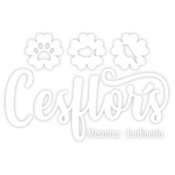 Cesflor's